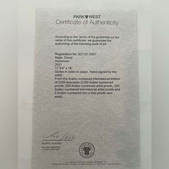 Ascension by David Najar (18”x28” artwork with custom frame) - Picture 8 of 8